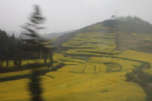 穷游云南1000元以内,穷游云南10天花费多少钱