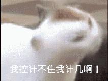 男朋友清空女朋友的购物车,男友清空购物车聊天记录