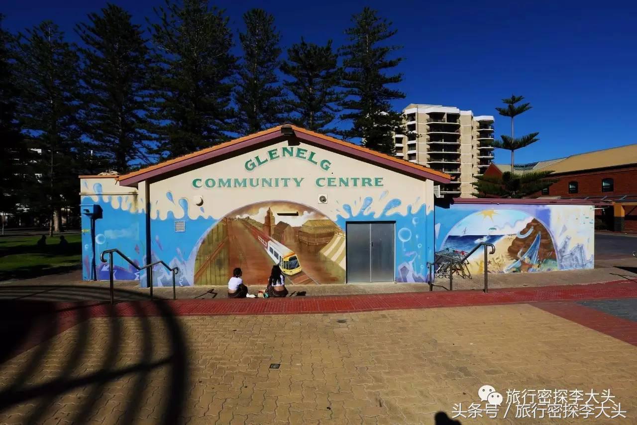 中国哪里能够抱考拉,全球哪里能够抱考拉