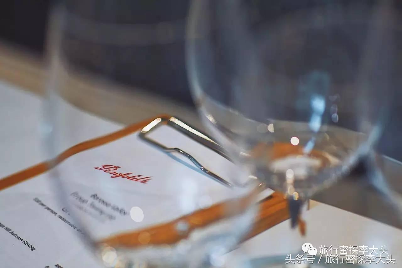 中国哪里能够抱考拉,全球哪里能够抱考拉