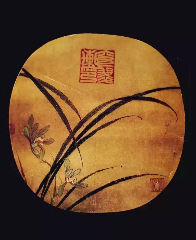 荐书｜中国人对兰花情有独钟，没想到达尔文也一样