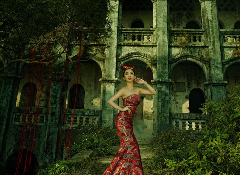 中国桂圆之乡广西博白,广西博白县桂圆柚之乡