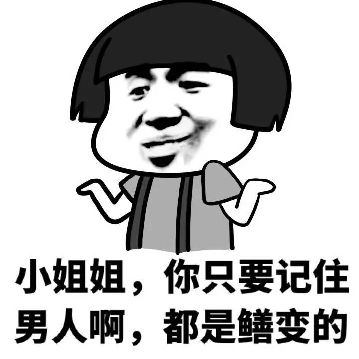 荷兰猪优势与劣势有哪些,荷兰猪的能力有多强