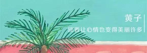 合适夏天种草的沐浴露,仙女必备的真花瓣沐浴露