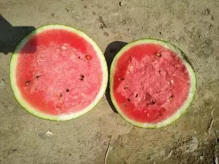 2016-2018年农产品市场需求,2024农产品市场数据分析报告