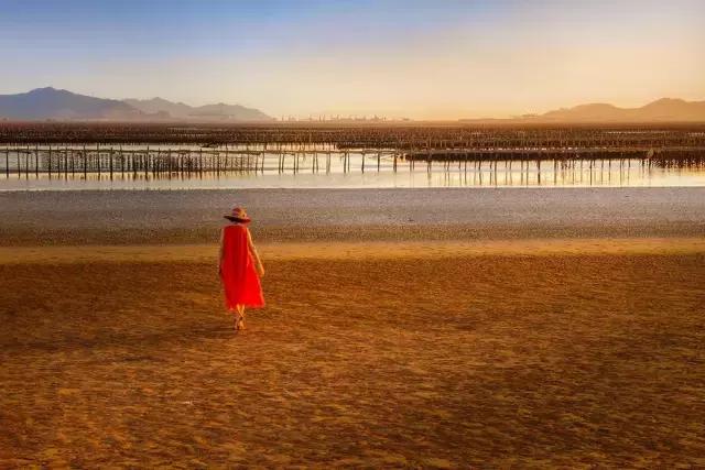 摄友作品点评,4月拍照