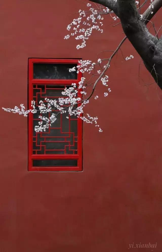 摄友作品点评,4月拍照