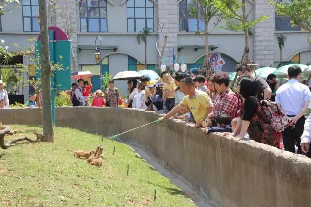 厦门灵玲国际马戏城大不大,五一厦门灵玲国际马戏