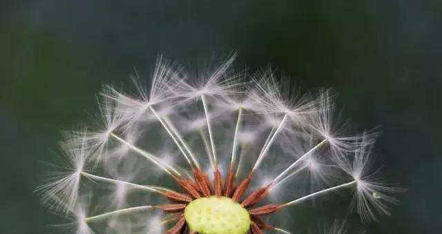 摄友作品点评,4月拍照