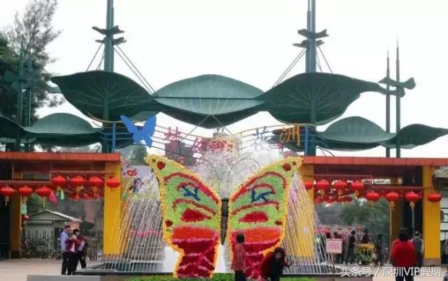 从化毅华温泉特色,从化毅华温泉旅游攻略