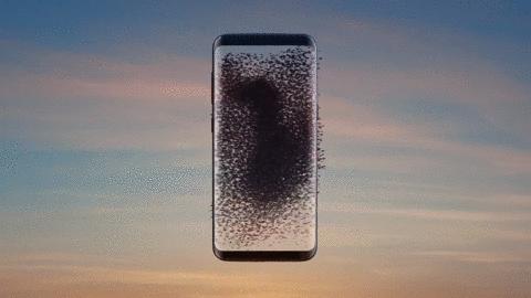 赵忠祥动物世界纪录片完全版,80年代赵忠祥动物世界视频