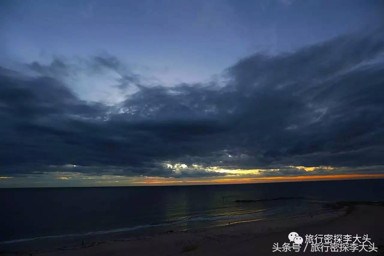 中国哪里能够抱考拉,全球哪里能够抱考拉