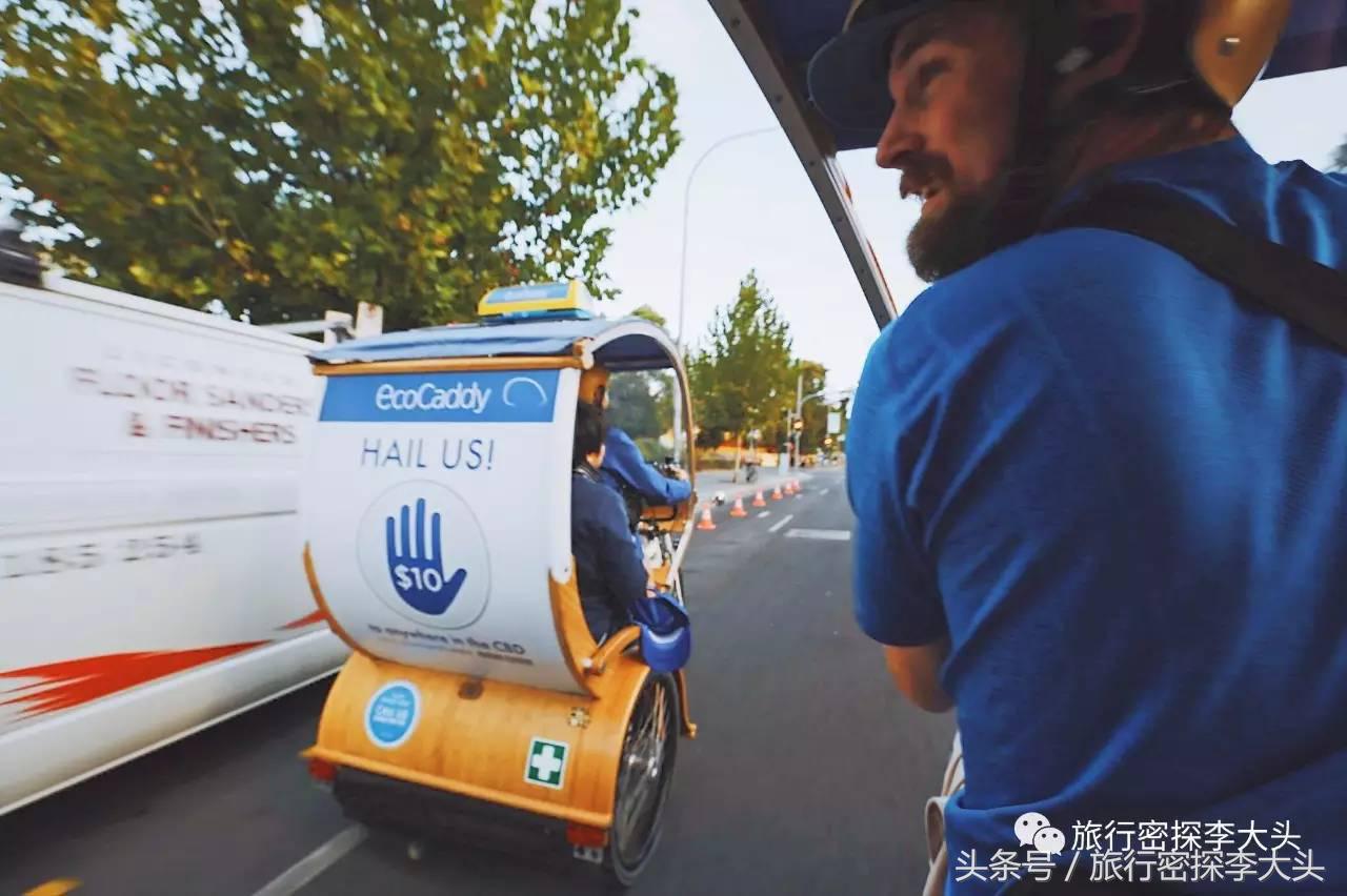 中国哪里能够抱考拉,全球哪里能够抱考拉