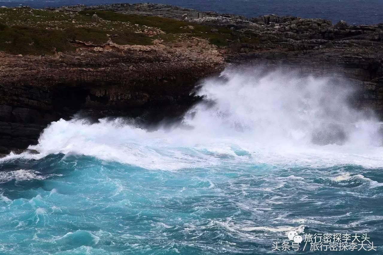 中国哪里能够抱考拉,全球哪里能够抱考拉