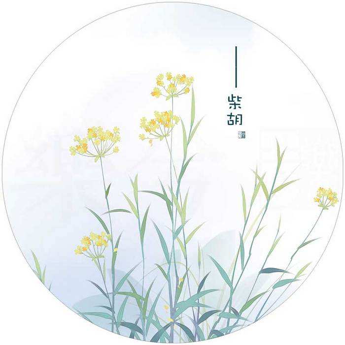 你肯定不知道中药还能够这么美