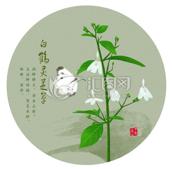 你肯定不知道中药还能够这么美