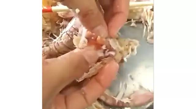 注胶皮皮虾是骗人的吗,皮皮虾被注胶了吗