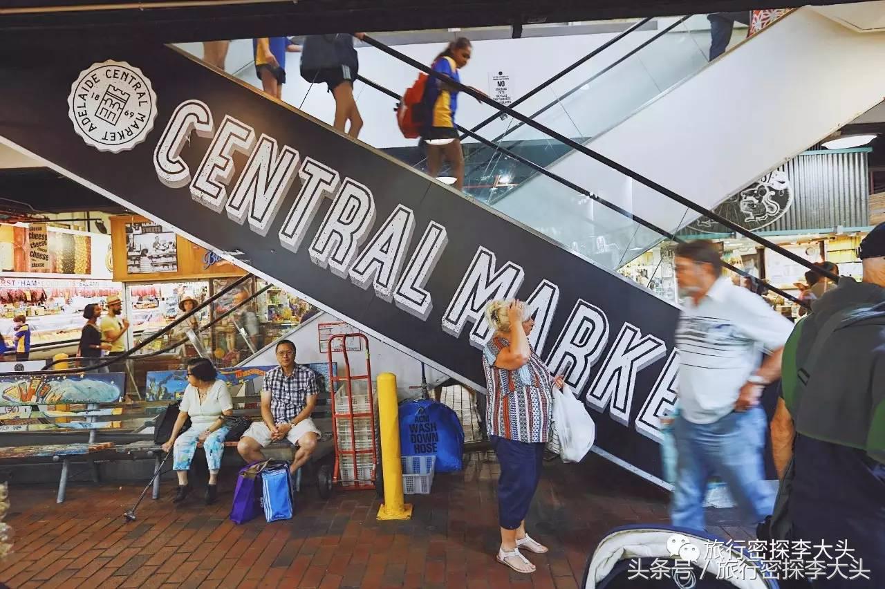 中国哪里能够抱考拉,全球哪里能够抱考拉