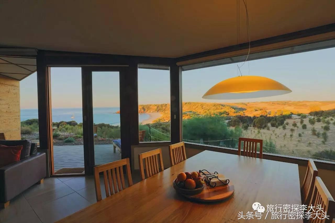 中国哪里能够抱考拉,全球哪里能够抱考拉