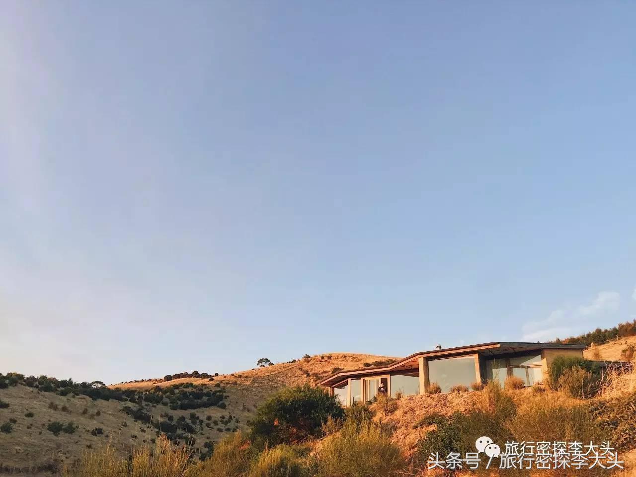 中国哪里能够抱考拉,全球哪里能够抱考拉