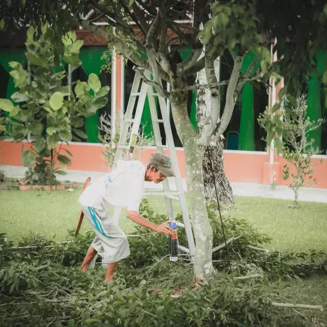 游绝美海岛沙巴,旅行海岛沙巴