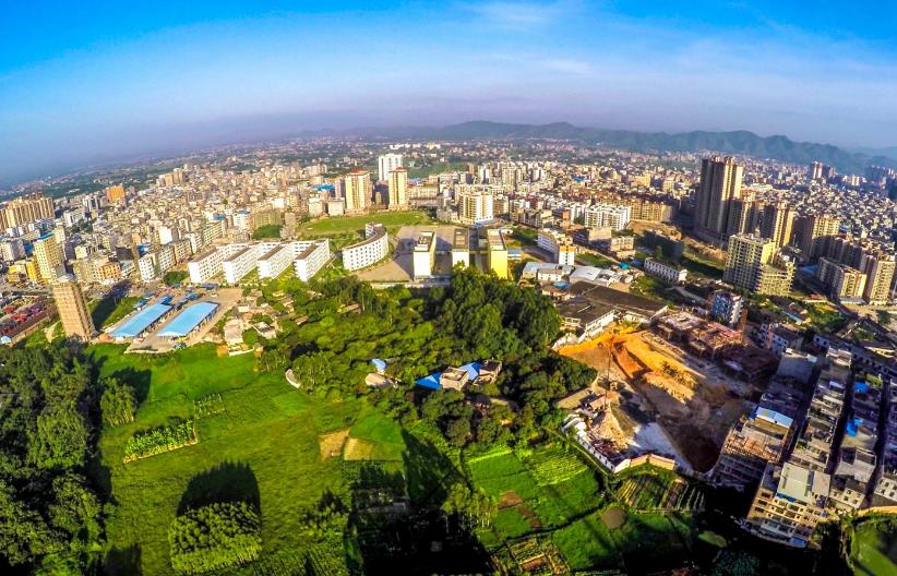 中国桂圆之乡广西博白,广西博白县桂圆柚之乡