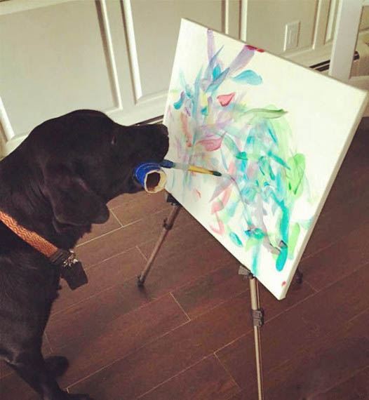 汪星人会作画 (汪星人的画作)