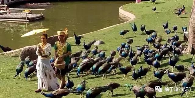 泼水节后，西双版纳该怎么玩，附防高温注意事项