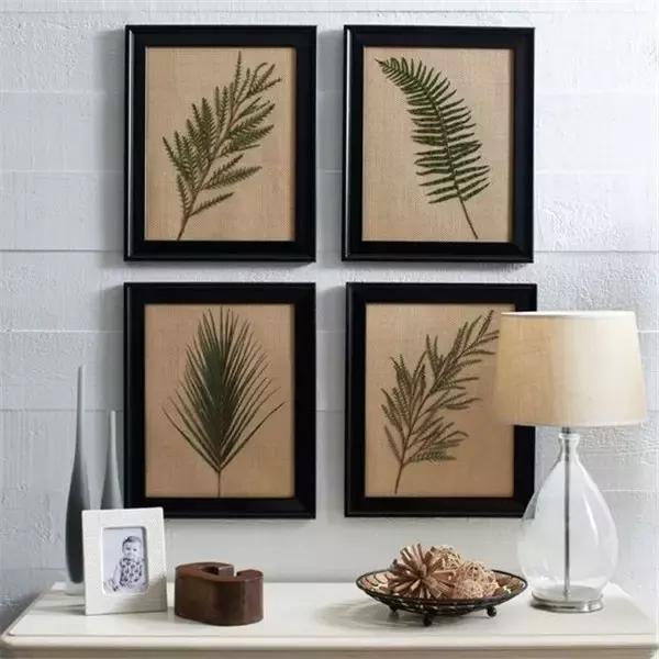 植物标本挂在墙上好看 (植物标本挂墙上)