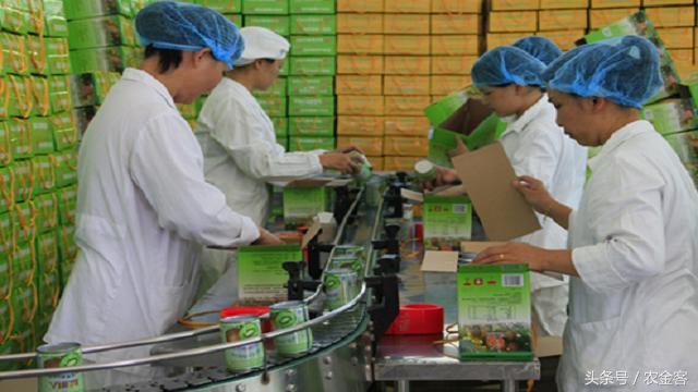 2021农村小投资大回报的项目,合适农村发展的小投资项目有哪些