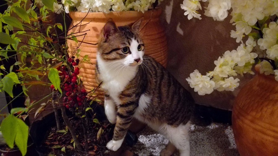 元宝山下，山水云间，悠悠闲云时光，恰好那时我也在