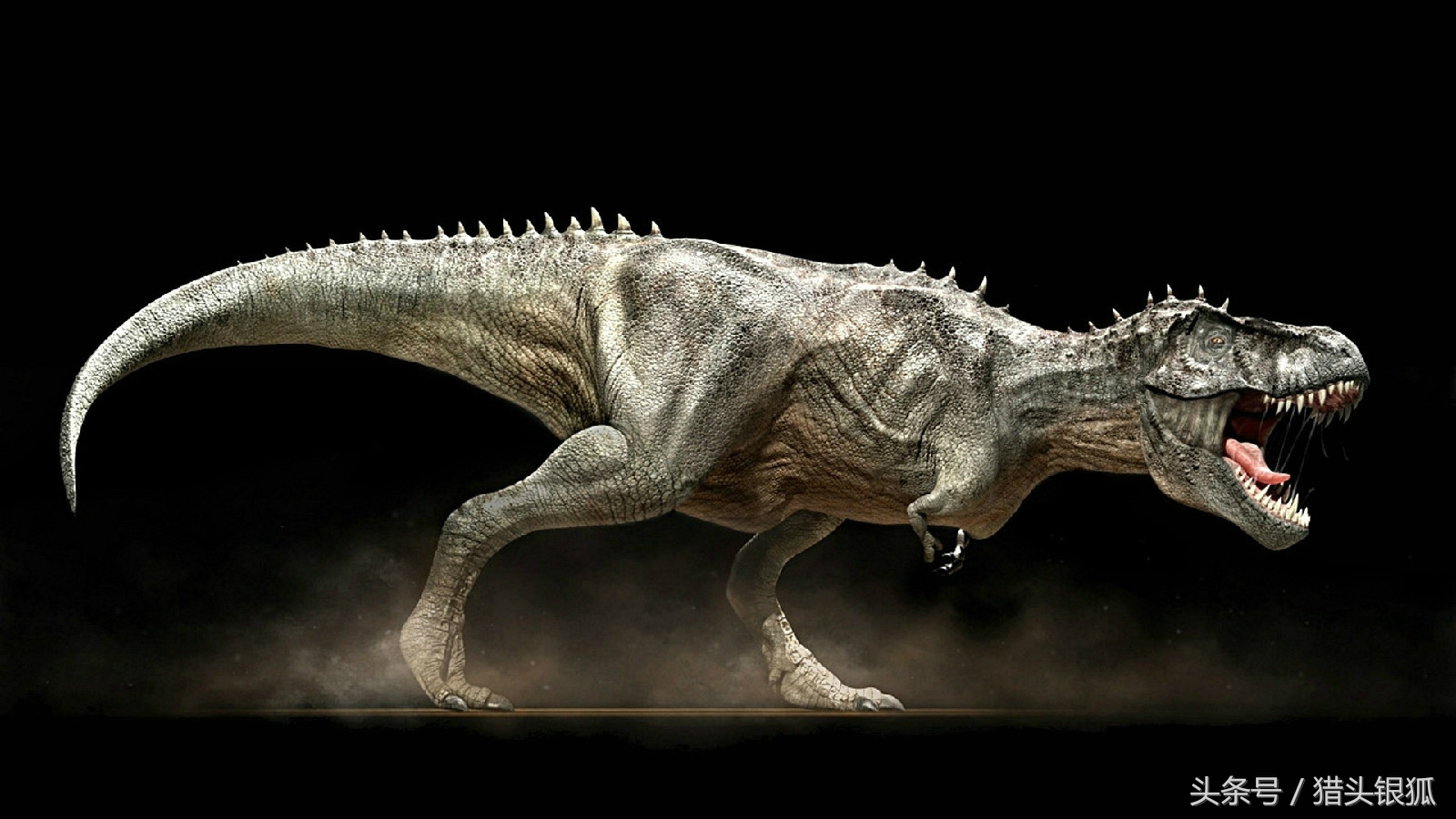 恐龙灭亡真相揭秘,各类恐龙生活的年代及灭亡时间