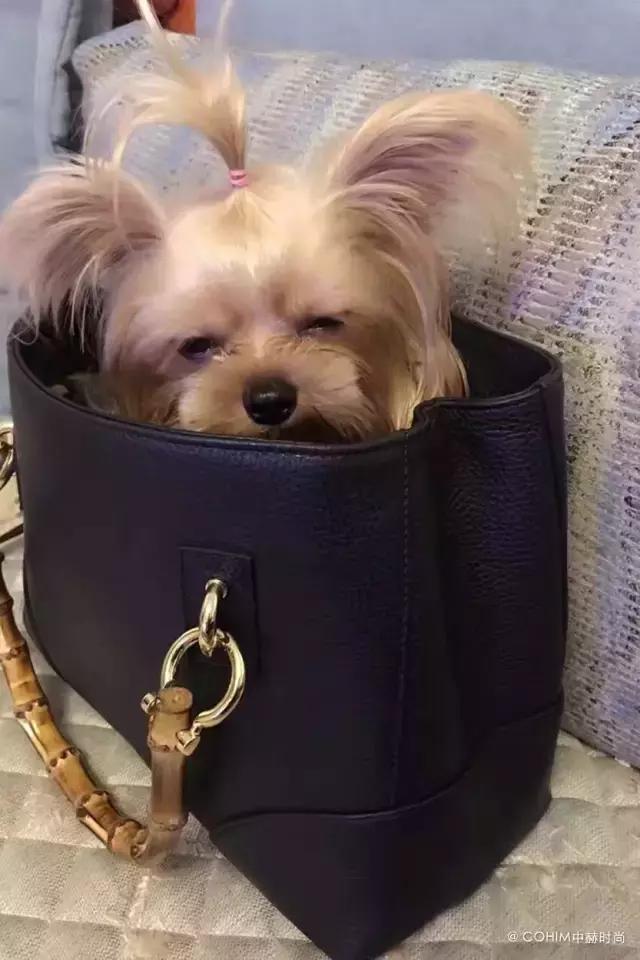 爱笑高颜能赚钱，创立同名品牌的千万级代购才是好买手