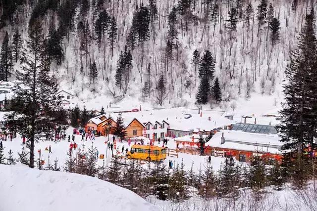 摄友作品点评,4月拍照