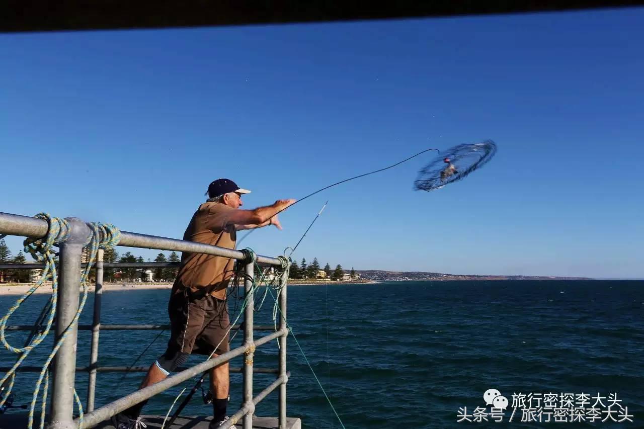中国哪里能够抱考拉,全球哪里能够抱考拉