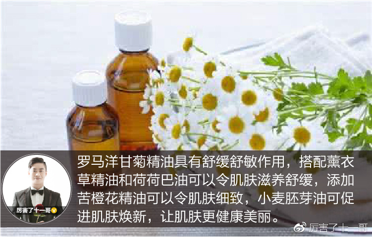 罗马洋甘菊舒缓润泽精油,罗马洋甘菊精油能够泡脚吗