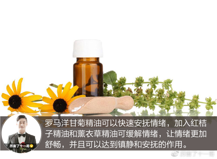 罗马洋甘菊舒缓润泽精油,罗马洋甘菊精油能够泡脚吗