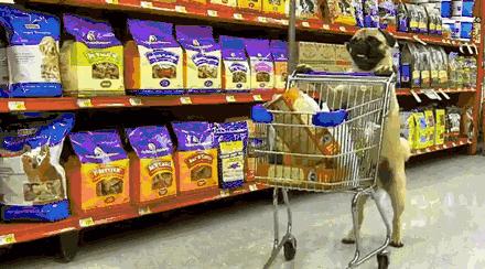 那些潮人喜欢在哪买衣服,潮人在哪挑衣服