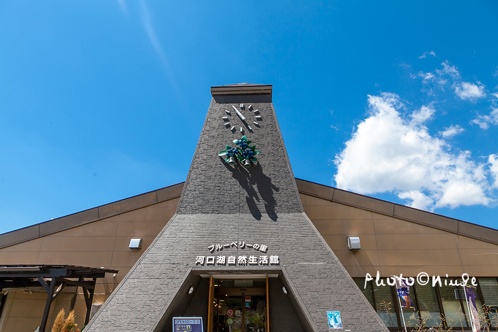 空姐在东京旅游,跟着游东京