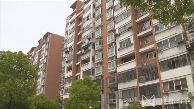 大面积白蚁怎么消灭最彻底,根治白蚁最简单有效的方法