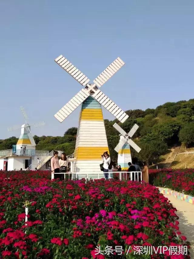 从化毅华温泉特色,从化毅华温泉旅游攻略