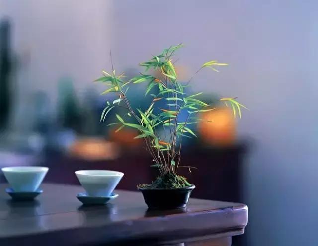 怎样选择正确的词牌名,初学者必备的词牌名