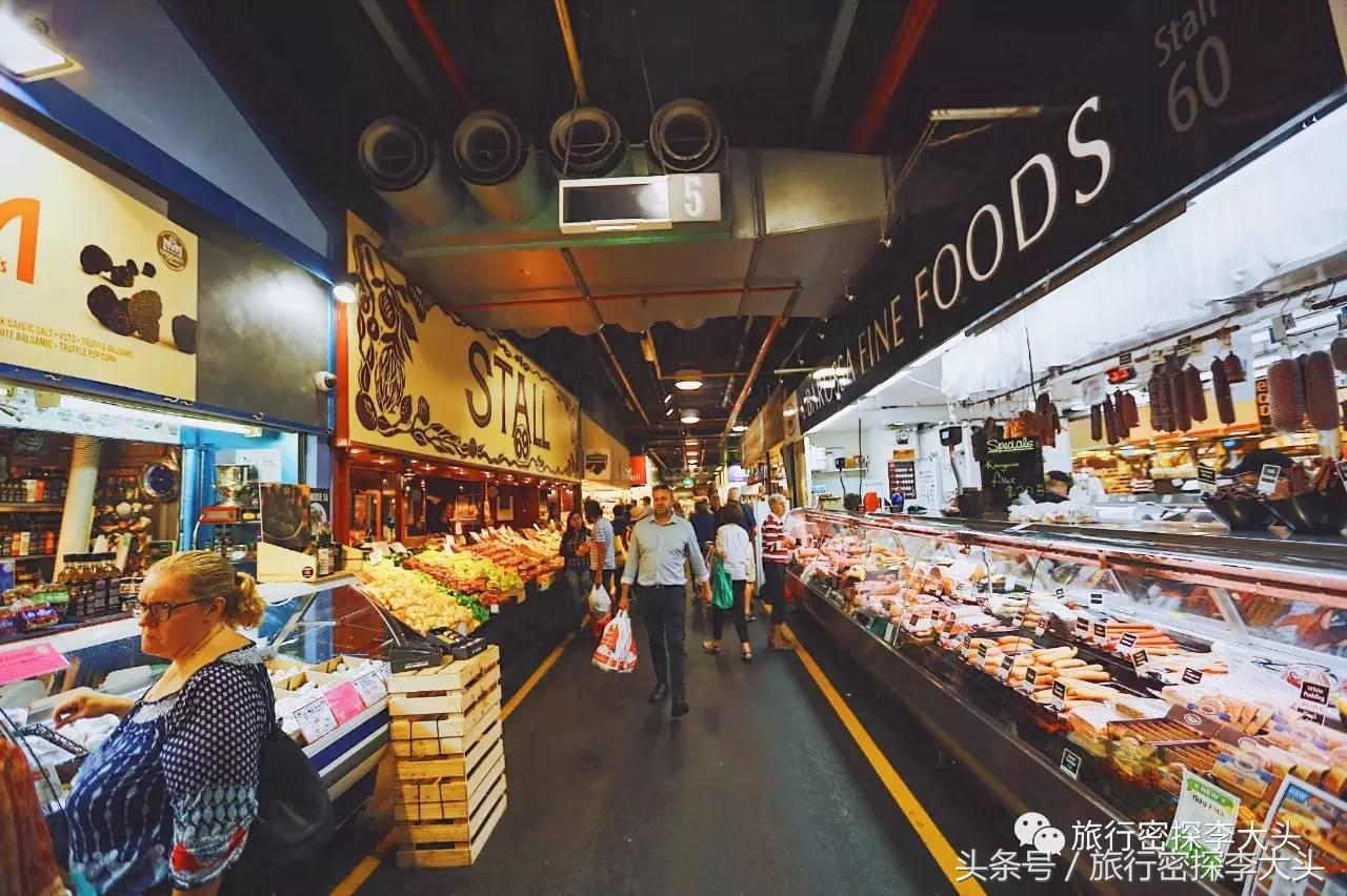 中国哪里能够抱考拉,全球哪里能够抱考拉