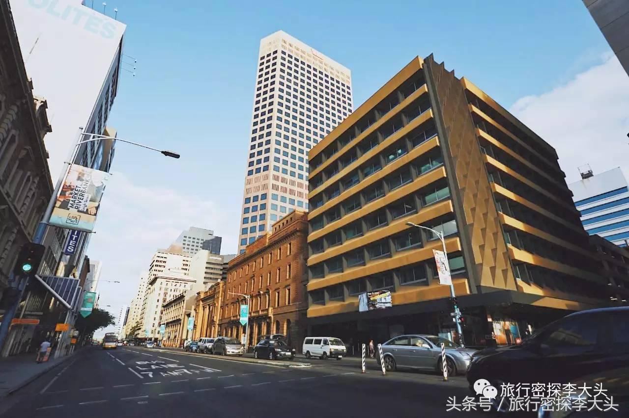 中国哪里能够抱考拉,全球哪里能够抱考拉