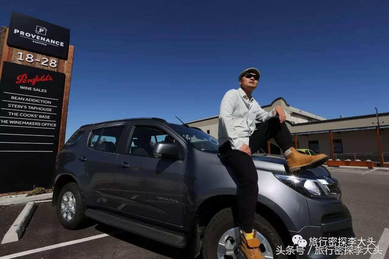 中国哪里能够抱考拉,全球哪里能够抱考拉