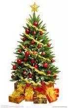 想妈绘本,想妈视频