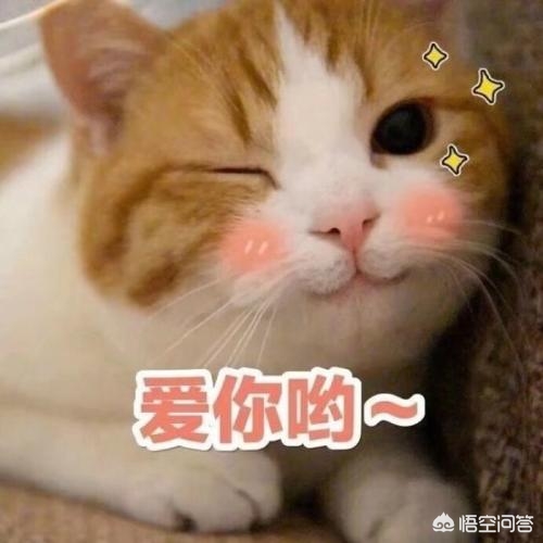 毛球的英勇尝试（美名在外，确实好用）