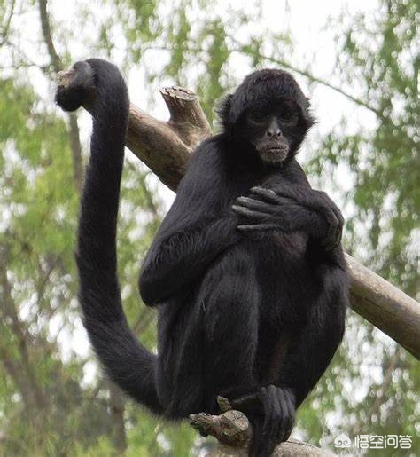 手心脚心容易出汗什么原因,手心为什么总是会出汗