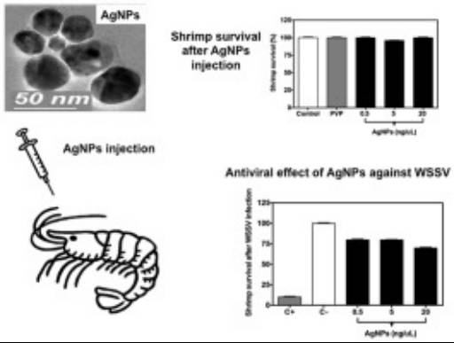俄罗斯治白癜风有奇效吗,俄罗斯最好的治疗白癜风药