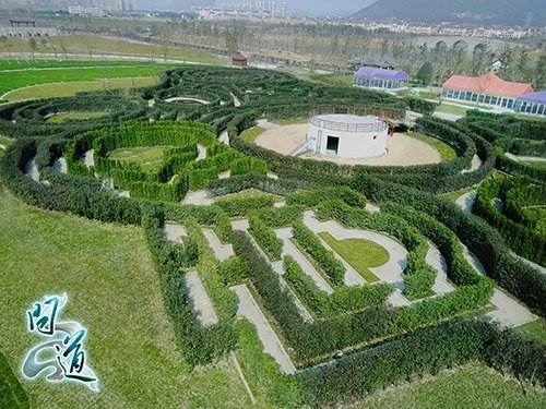 《问道》大型线下玩家狂欢趴NPC被迫现身卖艺